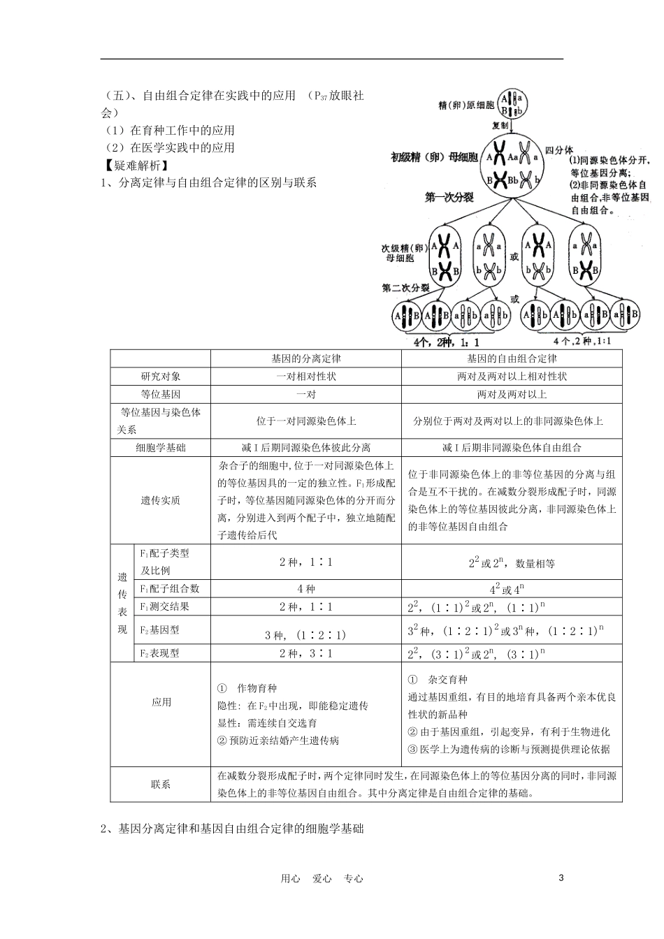 高中生物《基因的自由组合定律》学案1 苏教版必修2_第3页