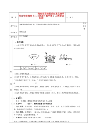 湖南省茶陵县世纪星实验学校九年级物理《11.3密度》教学案1 人教新课标版