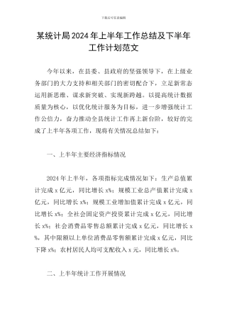 某统计局2024年上半年工作总结及下半年工作计划范文