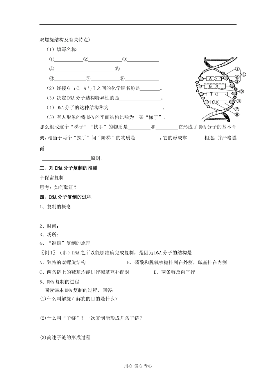 高中生物：3.3《DNA的复制》学案（1）（新人教版必修2）_第3页