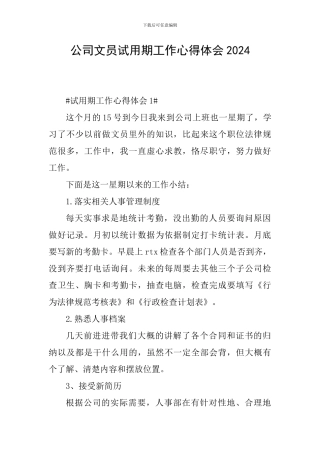 公司文员试用期工作心得体会2024