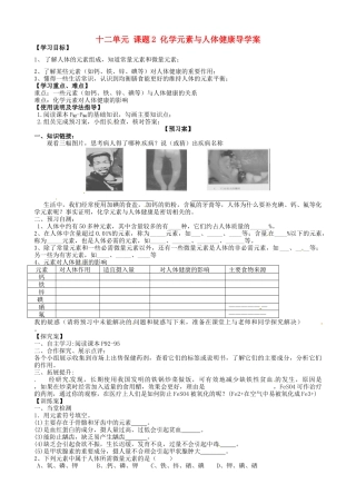 甘肃省玉门市花海中学九年级化学下册 第十二单元 课题2 化学元素与人体健康导学案（无答案） 新人教版