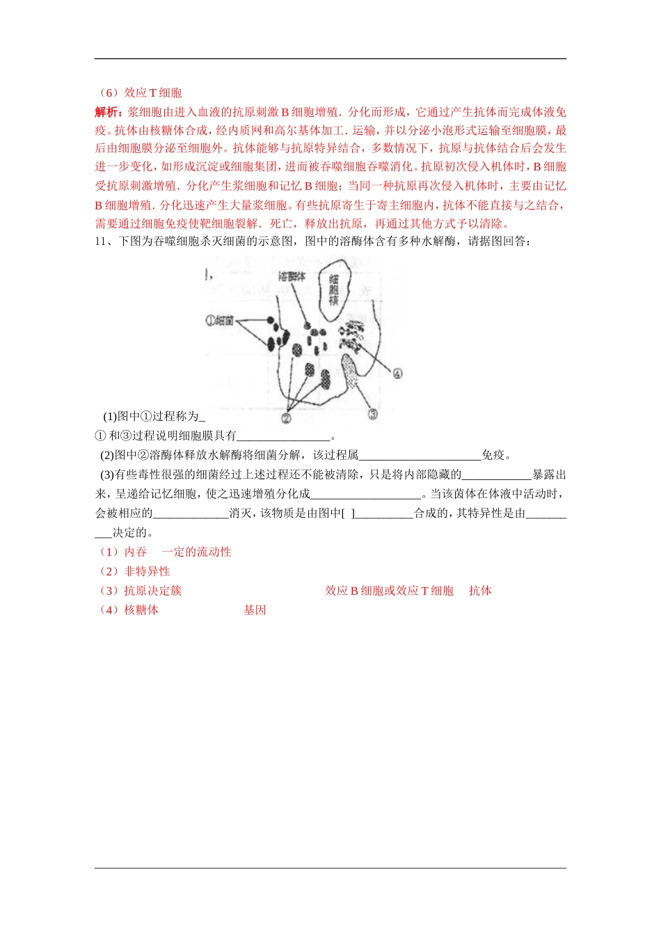 高中生物：5.4 动物体的细胞识别和免疫 学案（2）沪科版_第3页