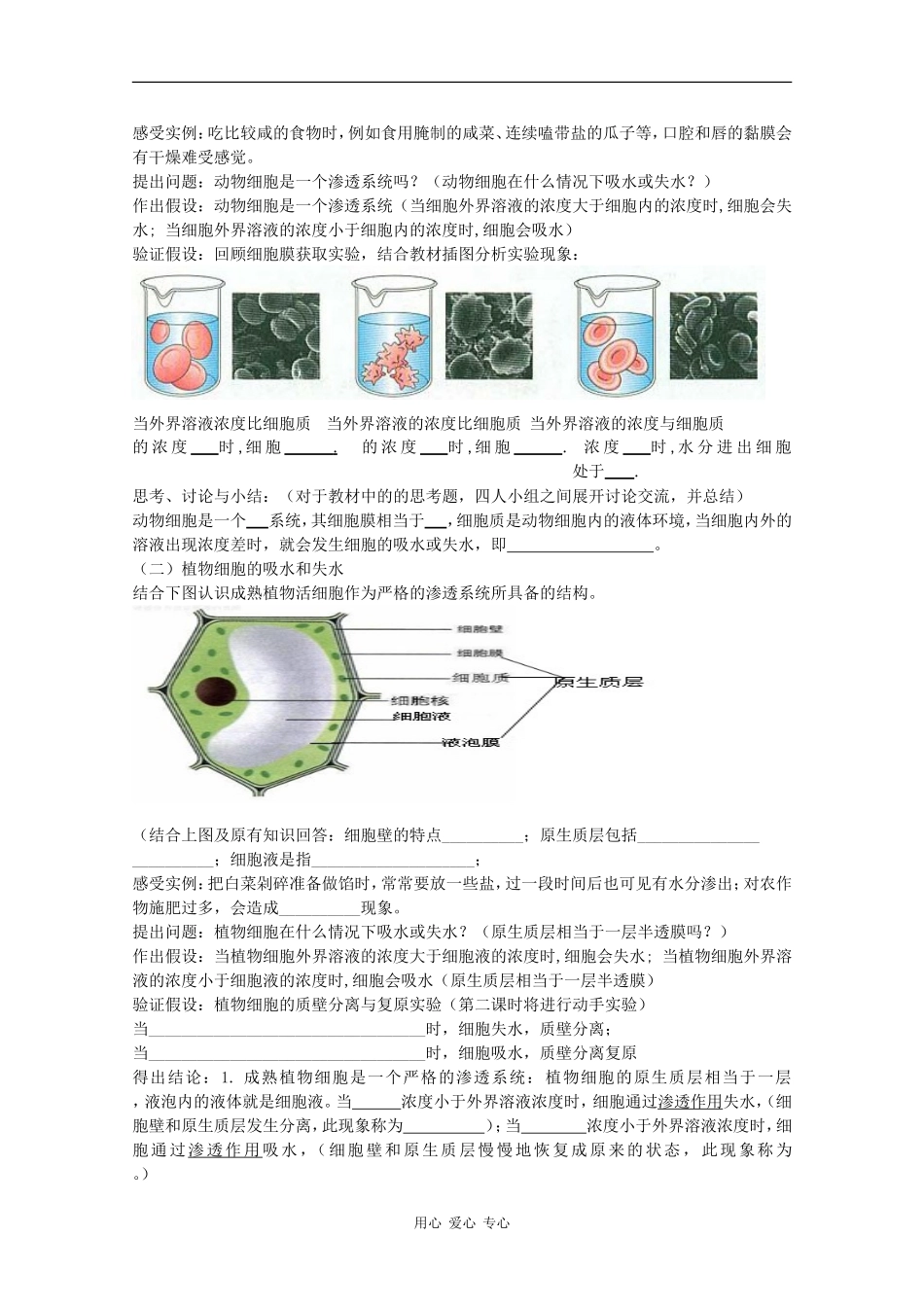 高中生物：4.1 《物质跨膜运输的实例》学案（3）（新人教版必修1）_第2页