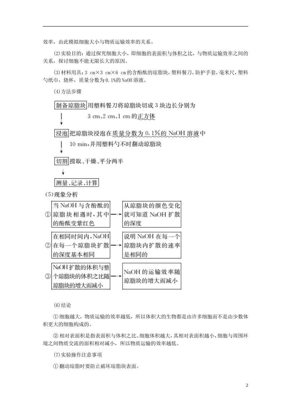 高中生物 第6章 第1节 细胞的增殖学案 新人教版必修1-新人教版高一必修1生物学案_第2页