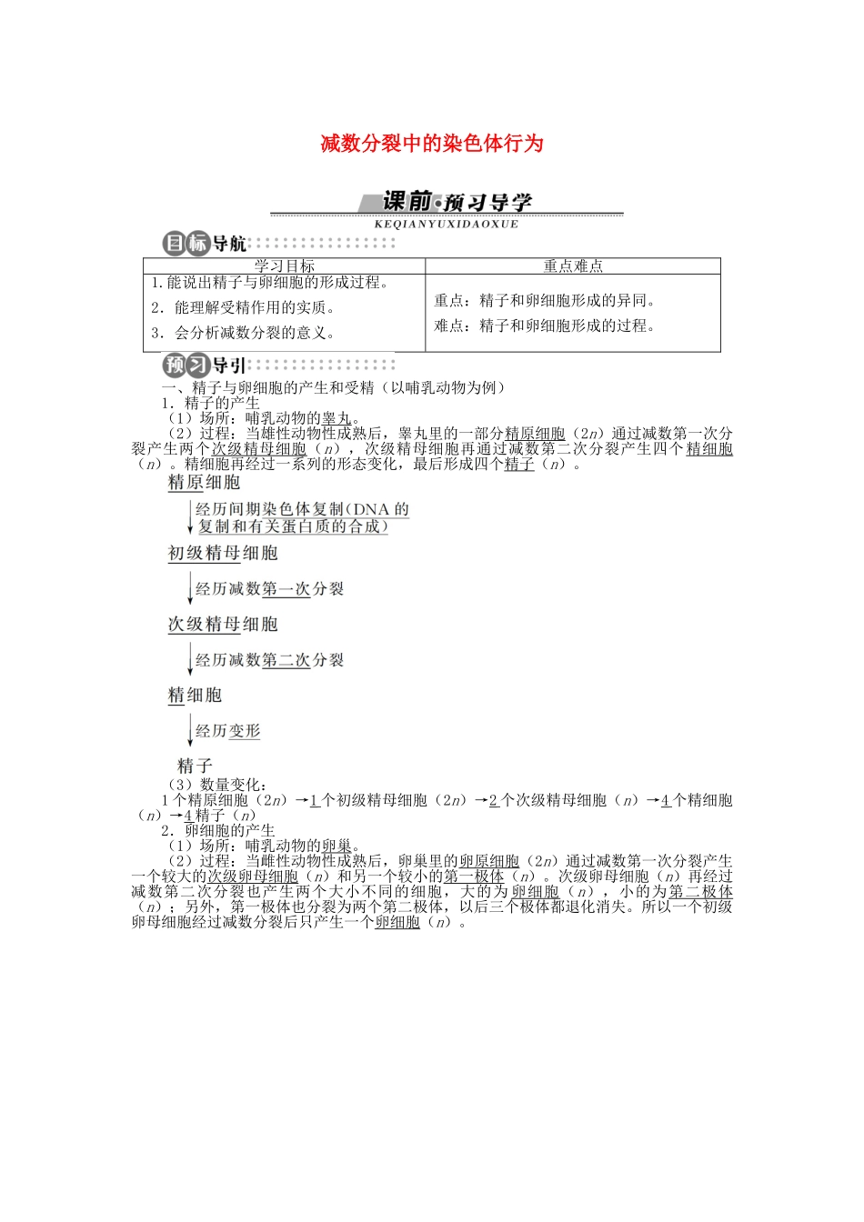 高中生物 第二章 第一节 减数分裂中的染色体行为 第二课时学案 浙科版必修2-浙科版高中必修2生物学案_第1页