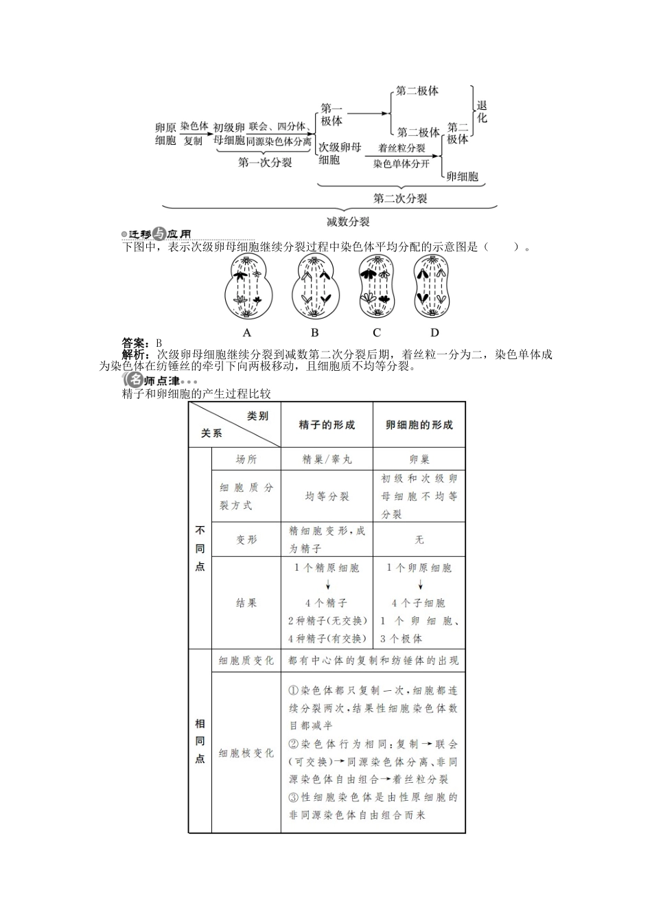 高中生物 第二章 第一节 减数分裂中的染色体行为 第二课时学案 浙科版必修2-浙科版高中必修2生物学案_第3页