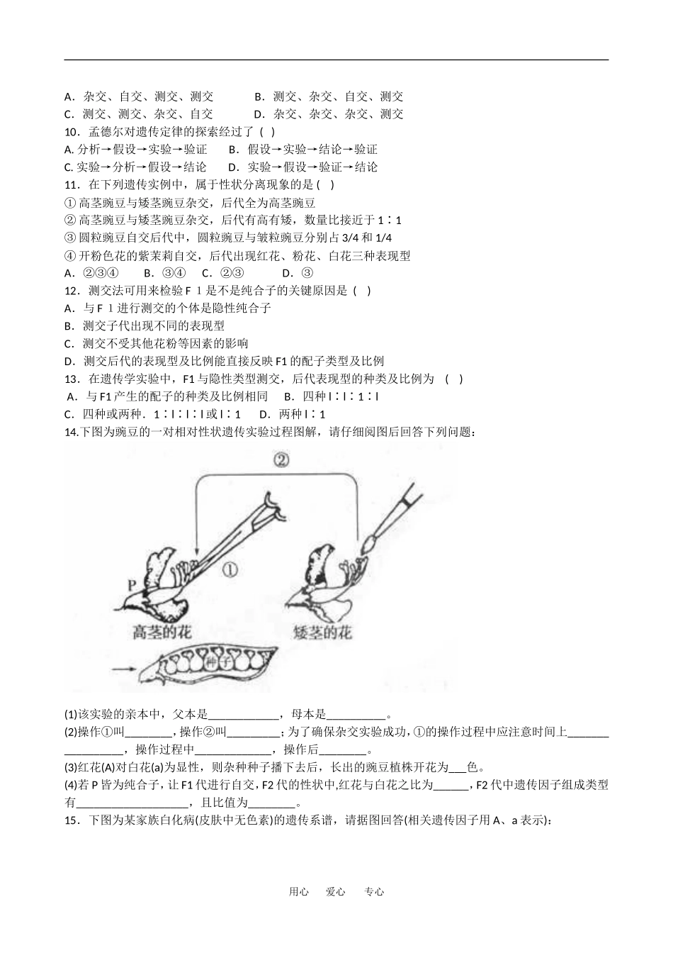 高中生物：1.1 孟德尔的豌豆杂交实验一 学案3新人教版必修2_第3页