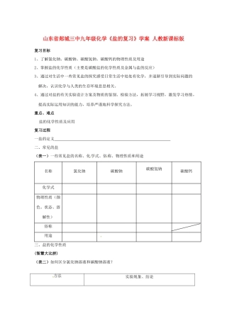 山东省郯城三中九年级化学《盐的复习》学案 人教新课标版
