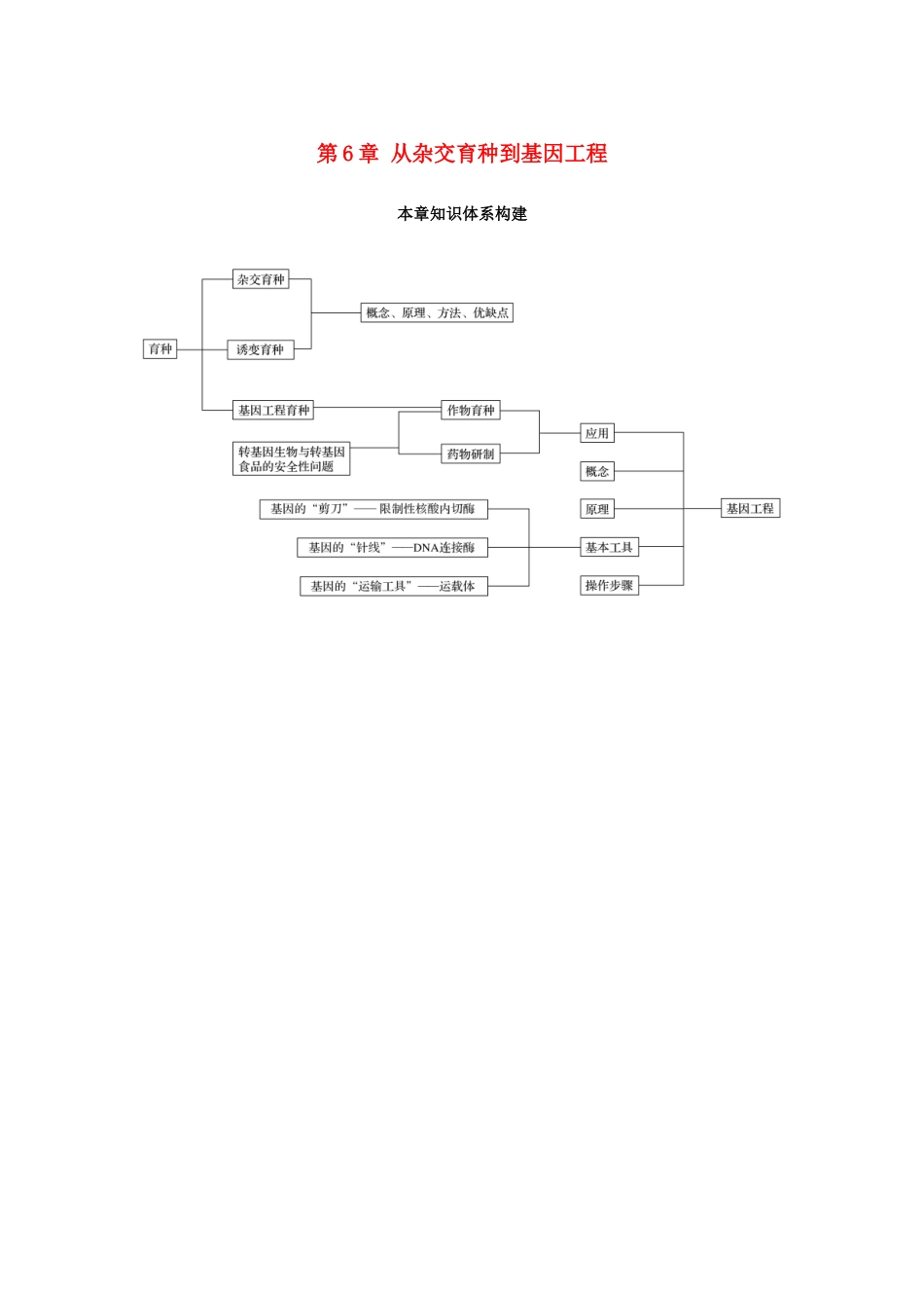 高中生物 第6章 从杂交育种到基因工程本章知识体系构建学案 新人教版必修2-新人教版高一必修2生物学案_第1页