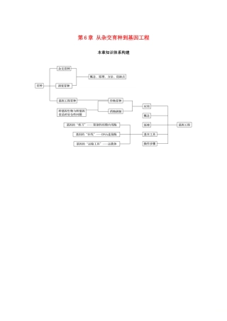 高中生物 第6章 从杂交育种到基因工程本章知识体系构建学案 新人教版必修2-新人教版高一必修2生物学案