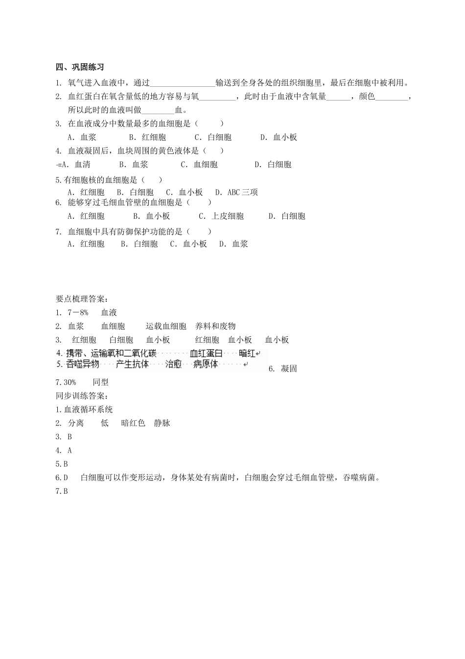 八年级科学上册 5.3 人体内的物质运输（第2课时）学案 （新版）华东师大版-（新版）华东师大版初中八年级上册自然科学学案_第2页