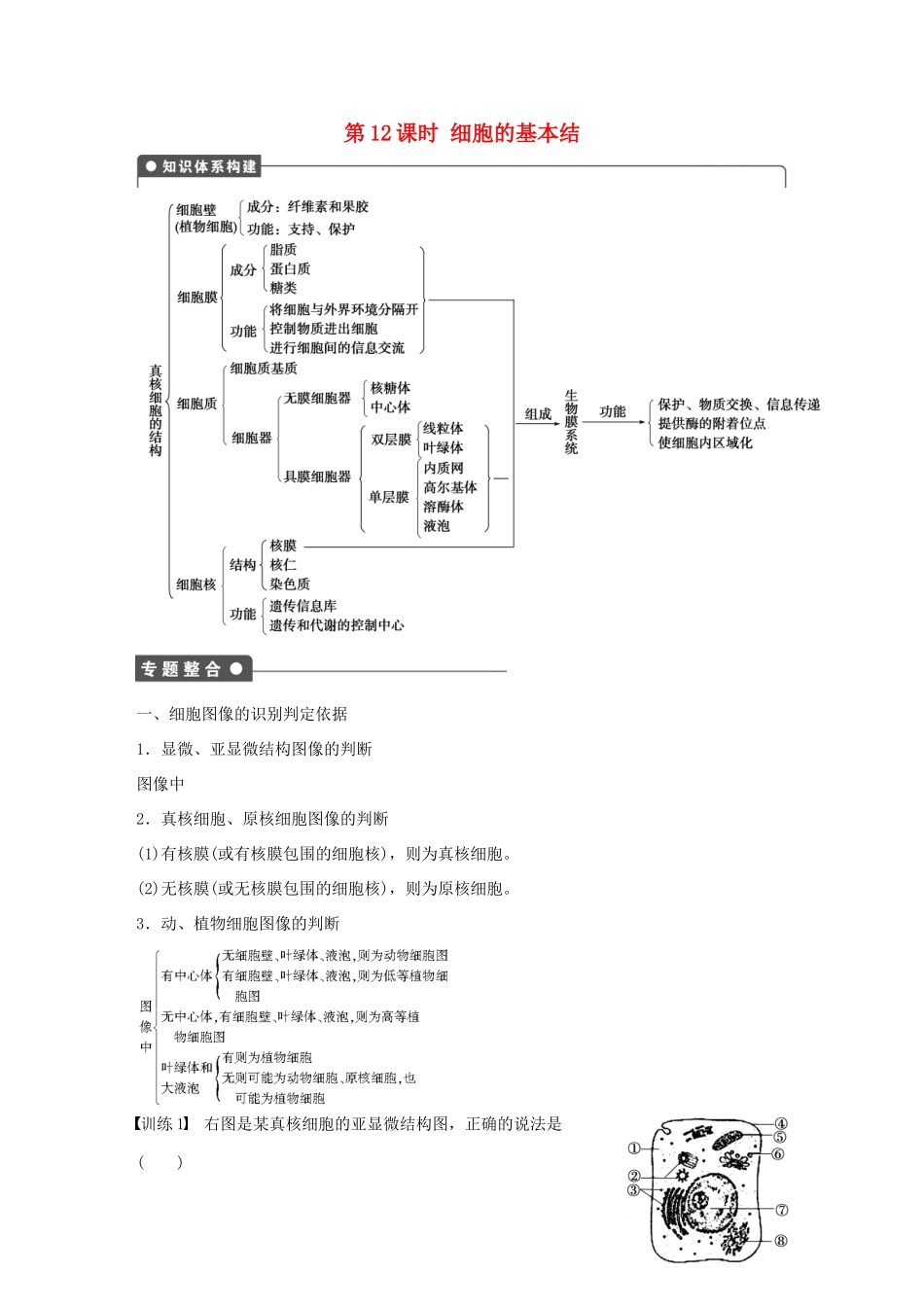 高中生物 第三章 细胞的基本结构 第12课时 细胞的基本结章末复习 新人教版必修1-新人教版高一必修1生物学案_第1页