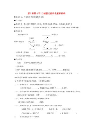 高中生物 第五章 细胞的能量供应和利用 5.4 能量之源---光与光合作用1 捕获光能的色素和结构学案 新人教版必修1-新人教版高一必修1生物学案