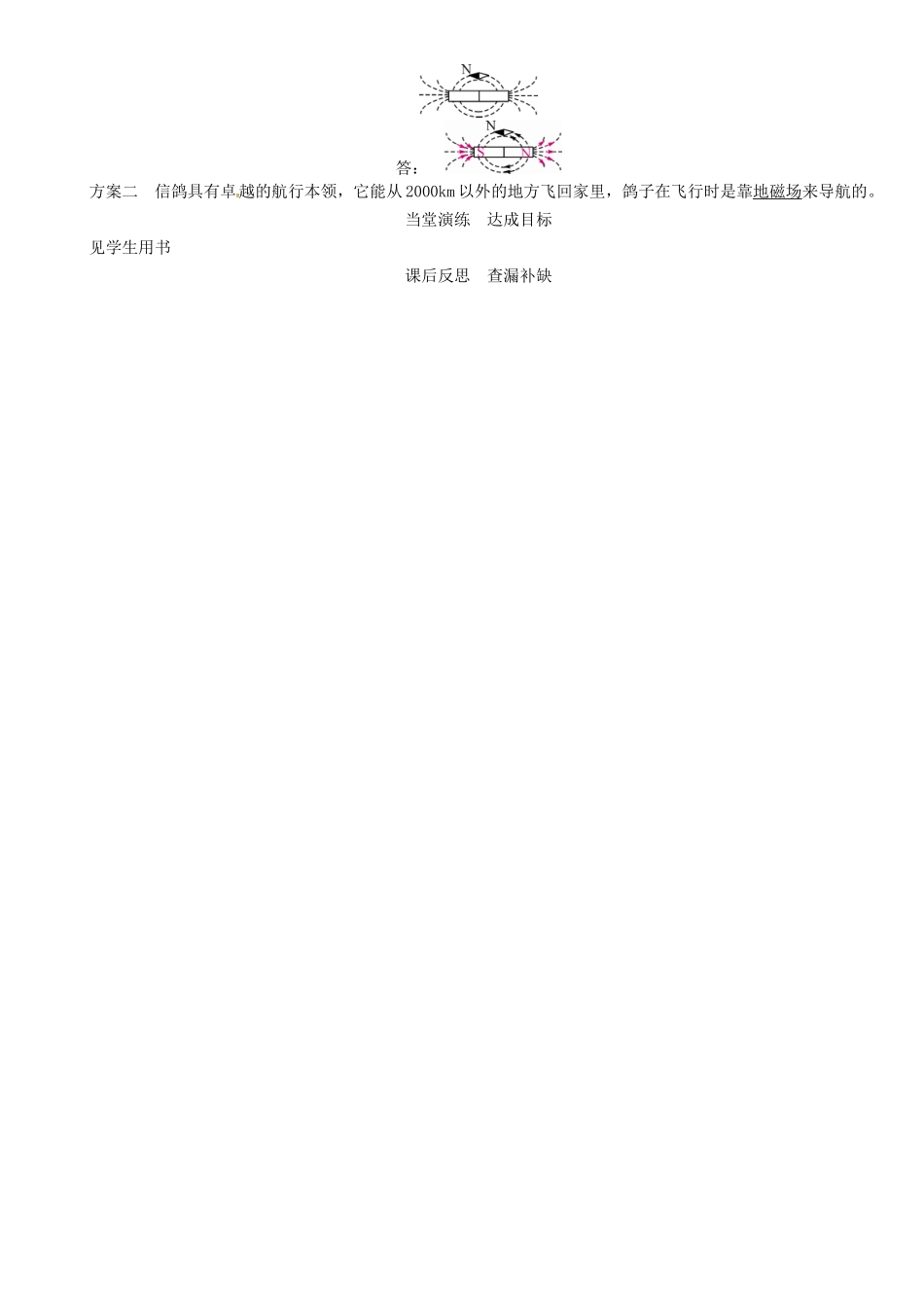 春九年级物理下册 16.1 从永磁体谈起 第2课时 磁感线及地磁场学案 （新版）粤教沪版-（新版）粤教沪版初中九年级下册物理学案_第3页