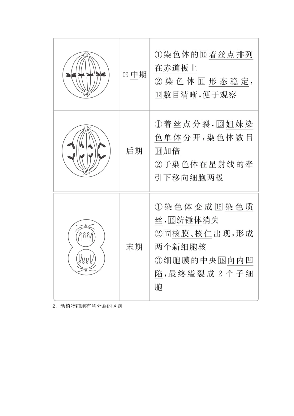 高中生物 第6章 第1节 第2课时 动物细胞的有丝分裂、无丝分裂及观察有丝分裂实验学案 新人教版必修1-新人教版高一必修1生物学案_第2页