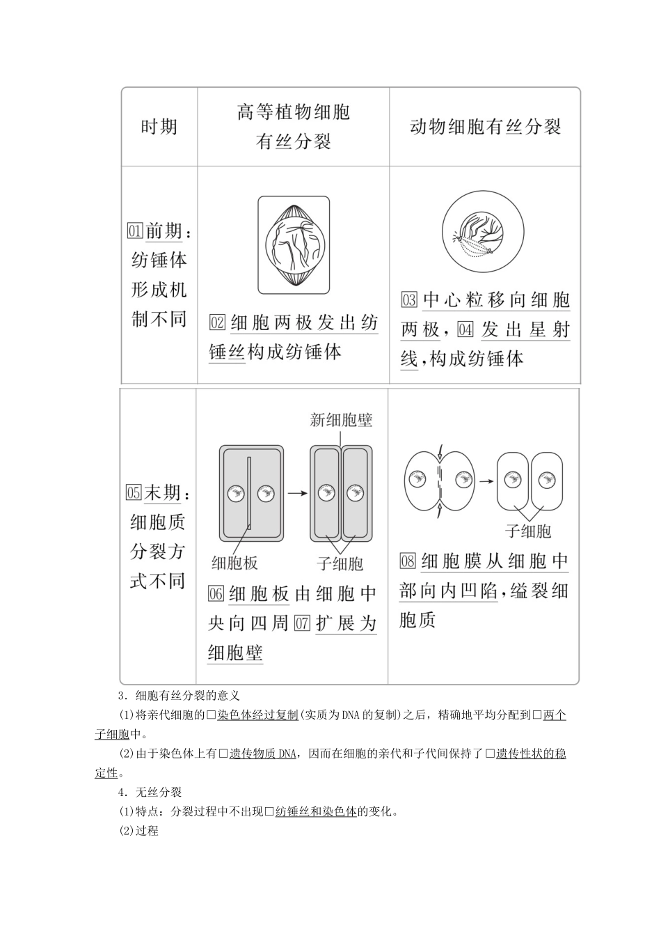 高中生物 第6章 第1节 第2课时 动物细胞的有丝分裂、无丝分裂及观察有丝分裂实验学案 新人教版必修1-新人教版高一必修1生物学案_第3页