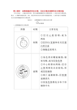高中生物 第6章 第1节 第2课时 动物细胞的有丝分裂、无丝分裂及观察有丝分裂实验学案 新人教版必修1-新人教版高一必修1生物学案