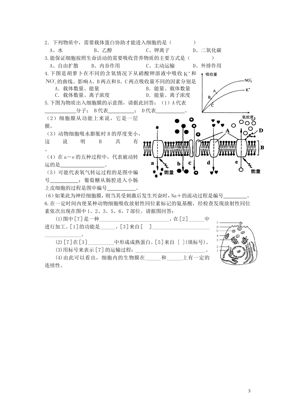 高中生物《物质跨膜运输的方式》学案3 新人教版必修1_第3页