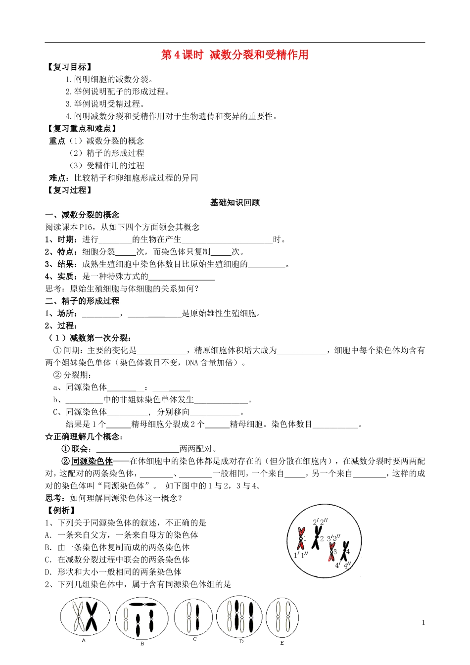 高中生物《减数分裂和受精作用》学案1 新人教版必修2_第1页
