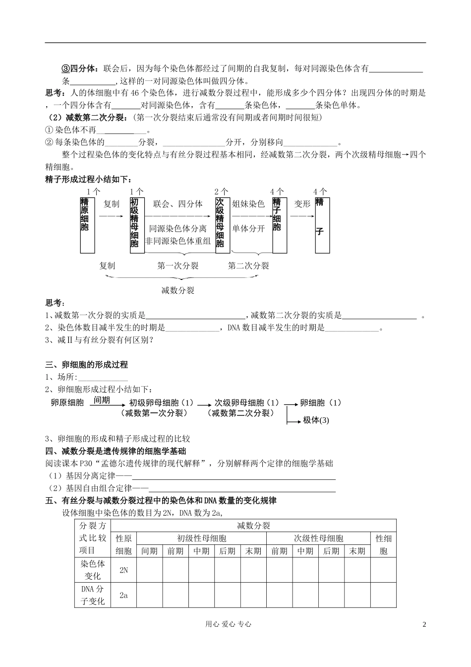 高中生物《减数分裂和受精作用》学案1 新人教版必修2_第2页