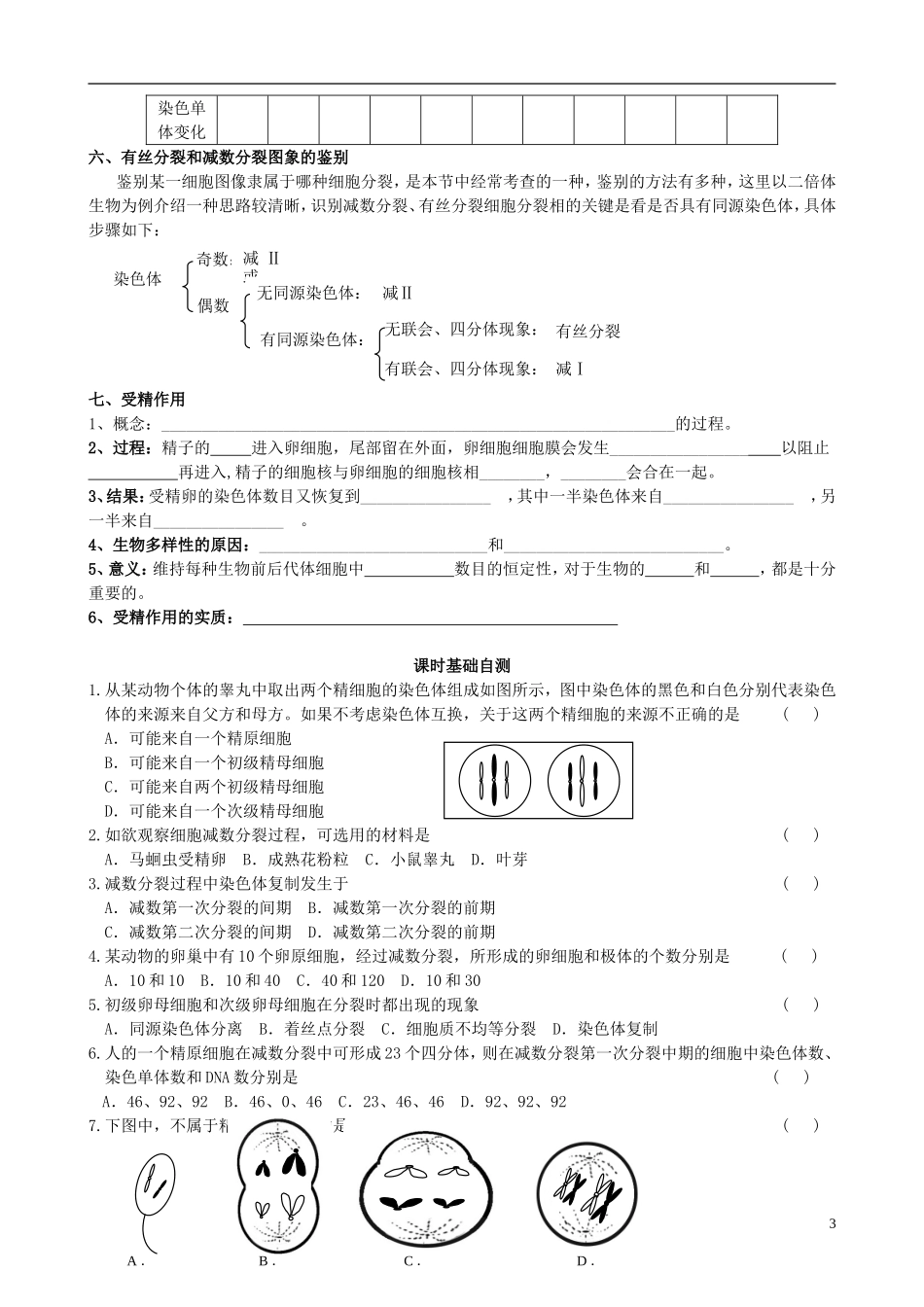 高中生物《减数分裂和受精作用》学案1 新人教版必修2_第3页