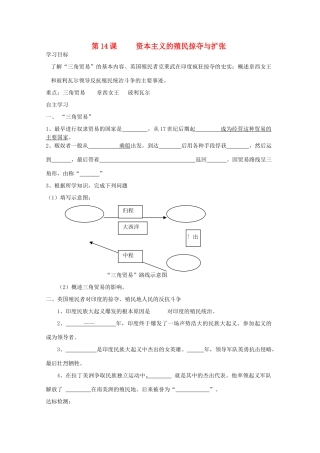 九年级历史上册 第14课 资本主义的殖民掠夺与扩张学案 中华书局版-中华书局版初中九年级上册历史学案