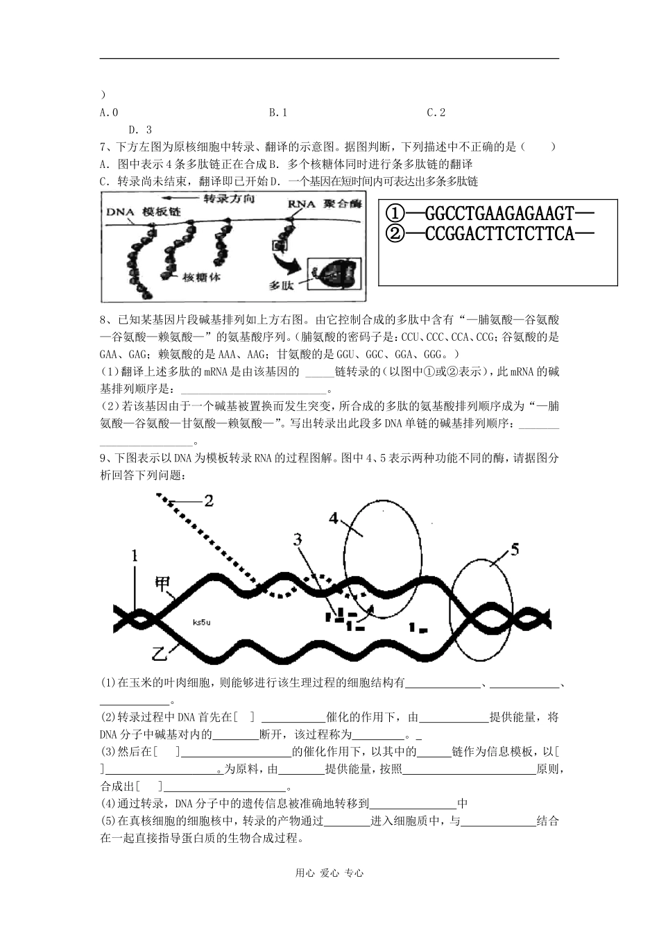 高中生物第 四 章   基因的表达自主复习学案_第3页