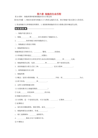 高中生物 第六章 细胞的生命历程 课时26 细胞周期和植物细胞的有丝分裂过程课时作业 新人教版必修1-新人教版高一必修1生物学案