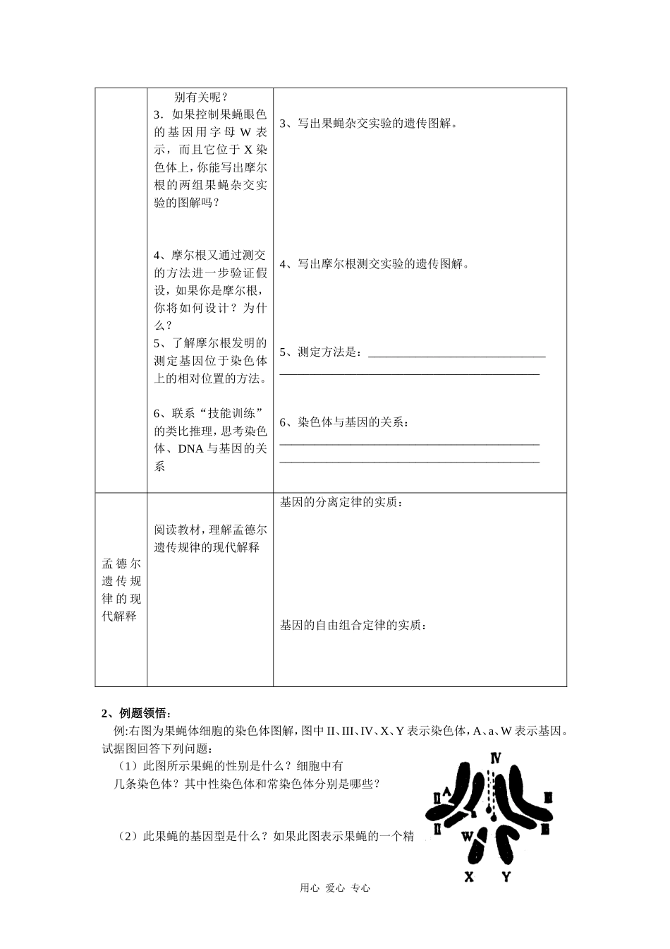 高中生物：2.2基因在染色体上学案 新人教版必修2_第2页