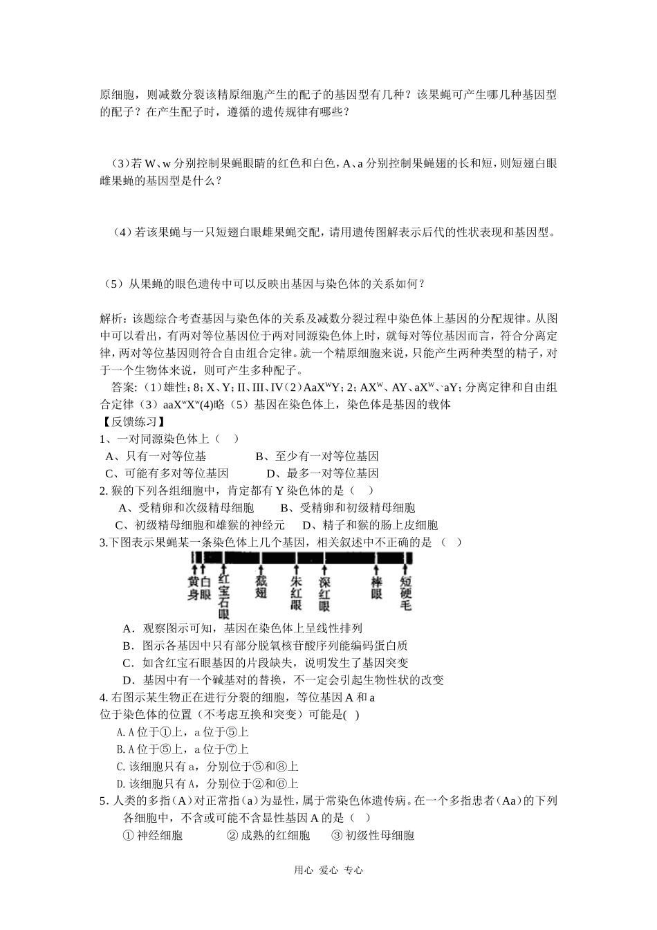 高中生物：2.2基因在染色体上学案 新人教版必修2_第3页