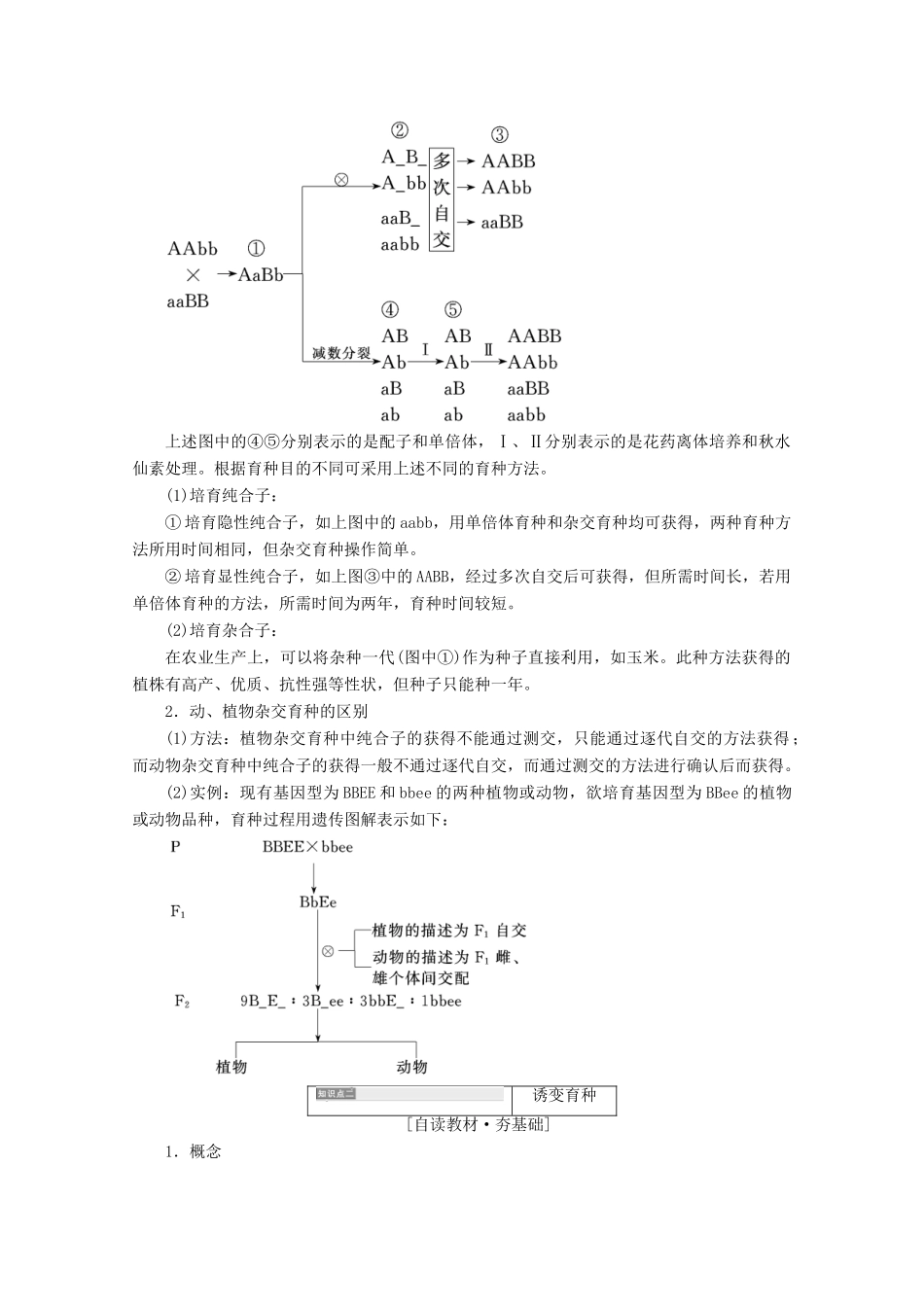高中生物 第6章 从杂交育种到基因工程 第1节 杂交育种与诱变育种学案 新人教版必修2-新人教版高一必修2生物学案_第2页