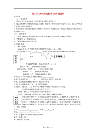 高中生物：4.2《DNA的结构和DNA的复制》学案3）苏教版必修2