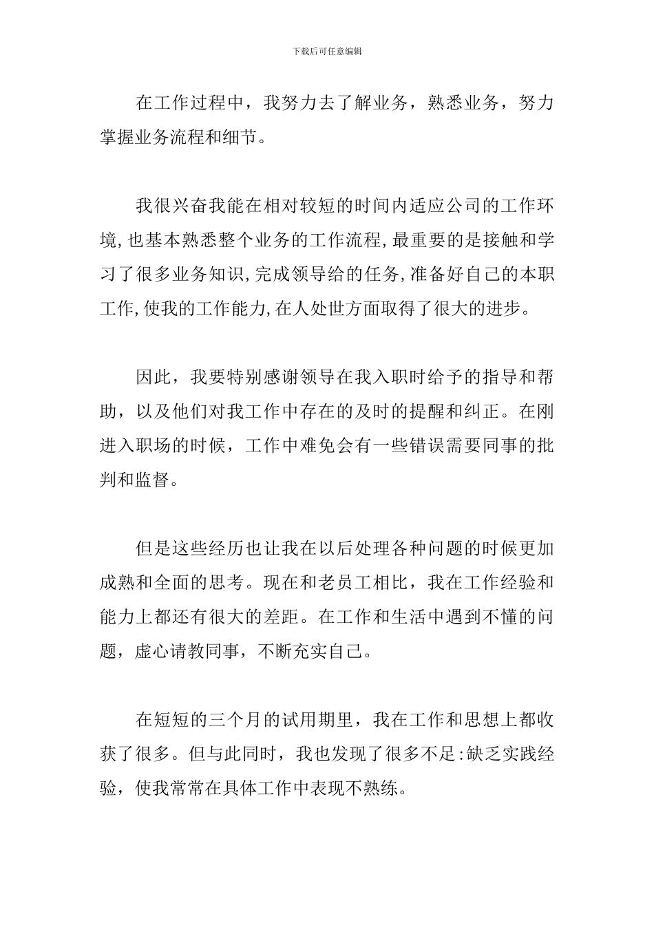 销售员试用期工作总结500字_第2页