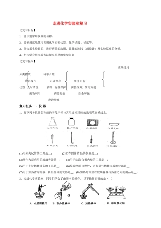 中考化学 走进化学实验室复习学案 人教版