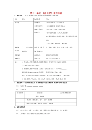 九年级化学第十一单元   盐 化肥 复习学案 人教版