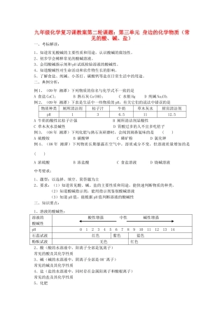 2012届中考化学要点专项复习教案17