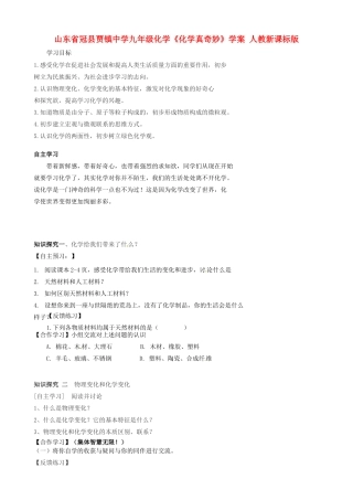 山东省冠县贾镇中学九年级化学《化学真奇妙》学案 人教新课标版