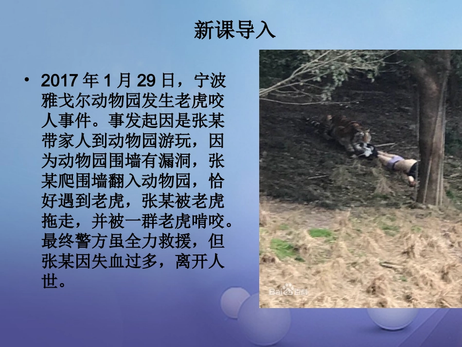 秋八年级道德与法治上册 第二单元 遵守社会规则 第三课 社会生活离不开规则 第1框 维护秩序 新人教版-新人教版初中八年级上册政治_第2页