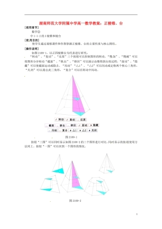 湖南师范大学附属中学高一数学 正棱锥、台教案