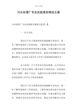污水处理厂专业实践报告精选五篇