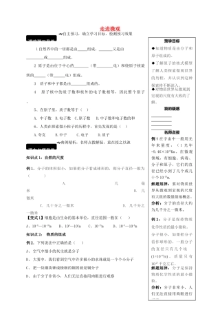 八年级物理全册 11.1 走进微观学案 （新版）沪科版-（新版）沪科版初中八年级全册物理学案