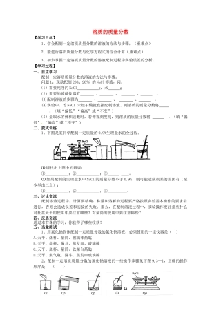 九年级化学下册 第九单元 课题3 溶质的质量分数学案 新人教版-新人教版初中九年级下册化学学案