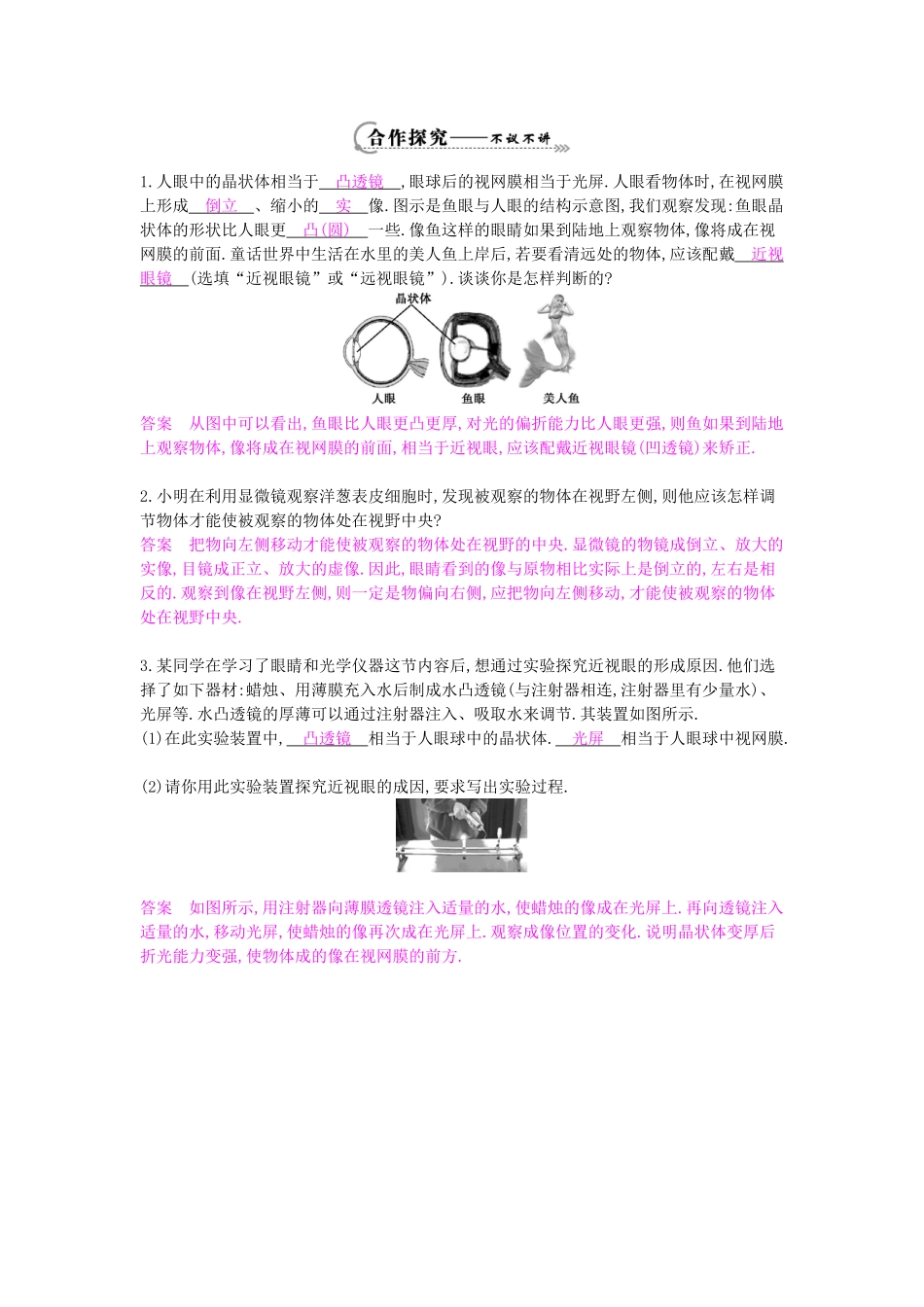 八年级物理上册 第三章 第七节《眼睛与光学仪器》导学案 粤教沪版-粤教沪版初中八年级上册物理学案_第2页