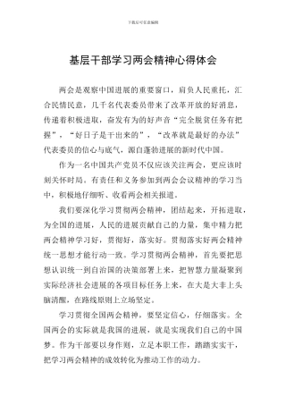 基层干部学习两会精神心得体会