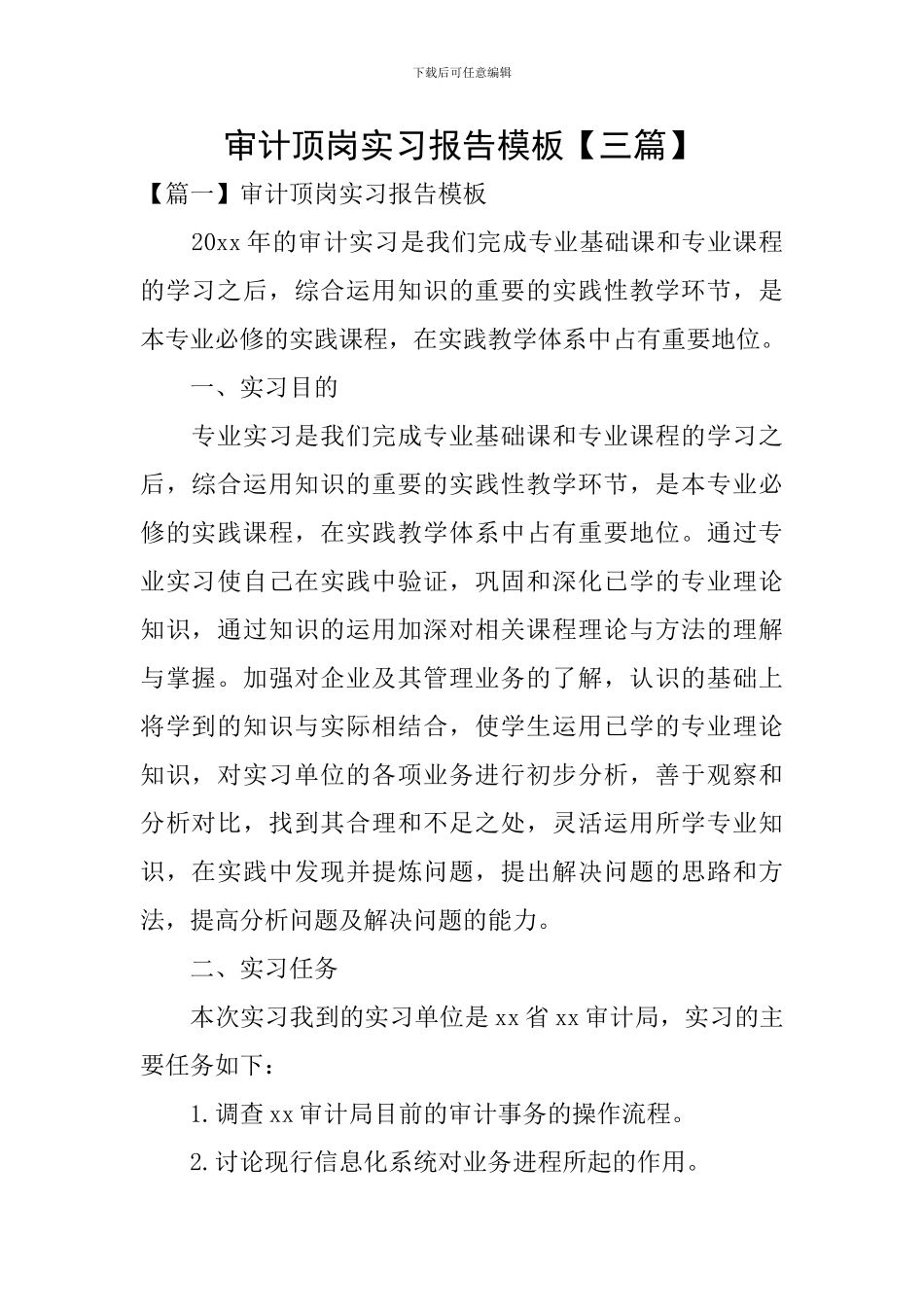 审计顶岗实习报告模板_第1页