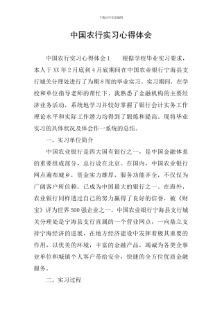 中国农行实习心得体会