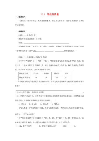 广东省惠州市惠东县港口中学八年级物理上册 5.1 物质的质量学案 （新版）粤教沪版