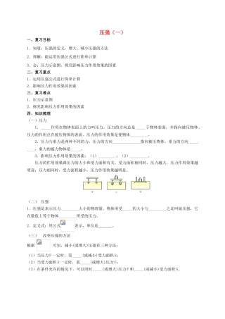 中考物理专题复习 压强（一）学案-人教版初中九年级全册物理学案