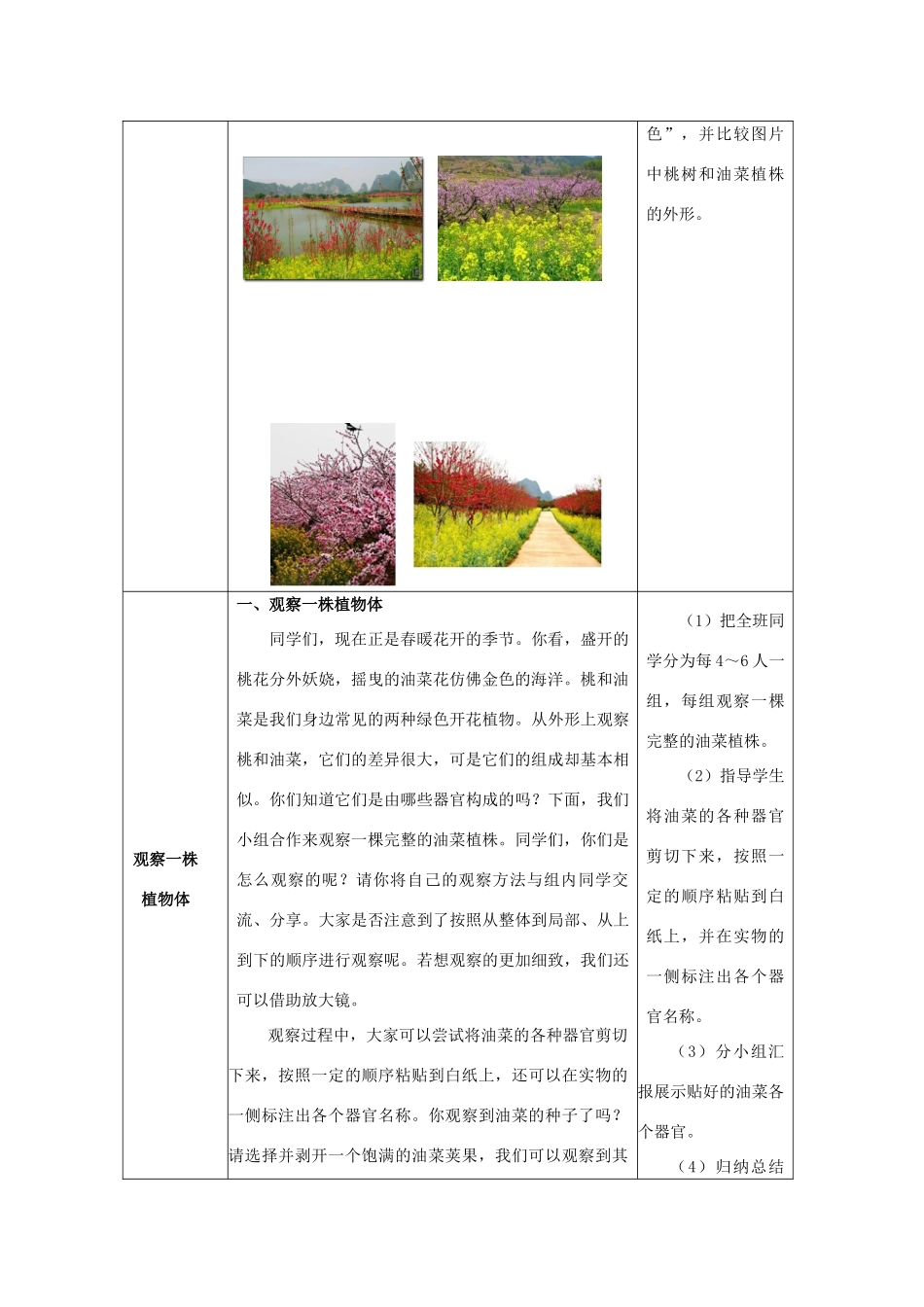 2013-2014学年七年级生物下册 9.1 植物体的组成教案 （新版）苏科版_第2页